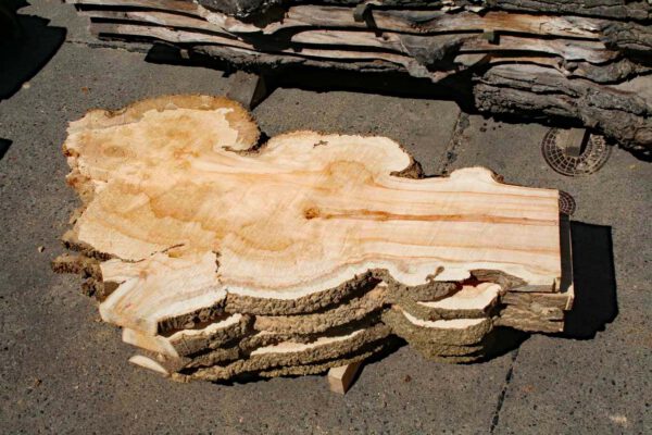 Maserknolle Holzplatten aufgeschnitten im Lager